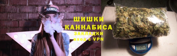 дживик Ладушкин