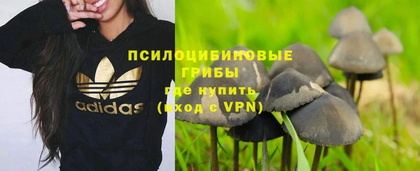 индика Кукмор
