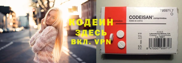 дмт Лагань