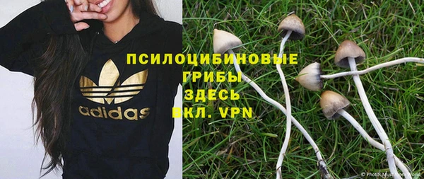 дживик Ладушкин