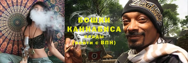 дмт Лагань