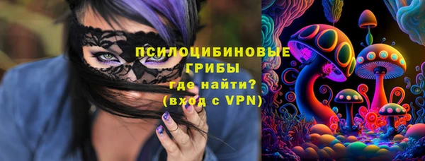 дживик Ладушкин