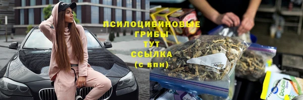 дживик Ладушкин