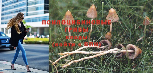 индика Кукмор
