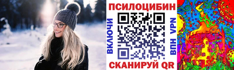 Псилоцибиновые грибы Psilocybe Суздаль